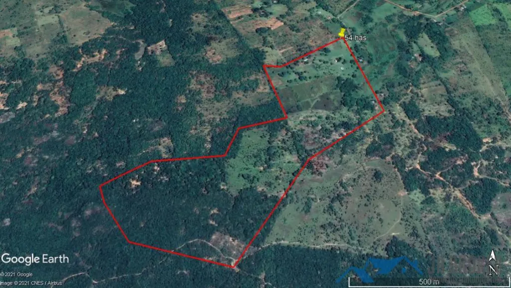 VENDO 54 HECTÁREAS EN VALENZUELA – CORDILLERA COD:V0137 — foto 3