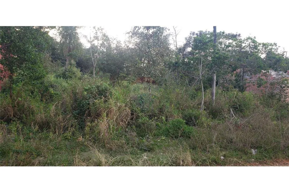 Vendo Terreno Salado Limpio — foto 2