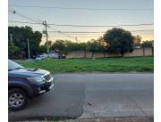 ALQUILO 500 MTS2 EN LUQUE.