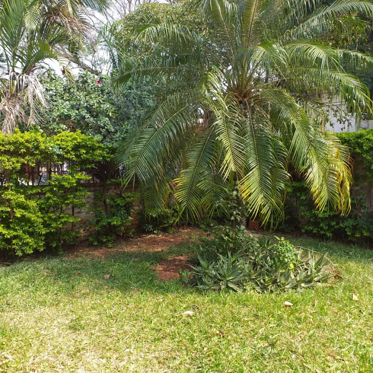 EN SAN VICENTE - VENDO 14 X 43 — foto 2