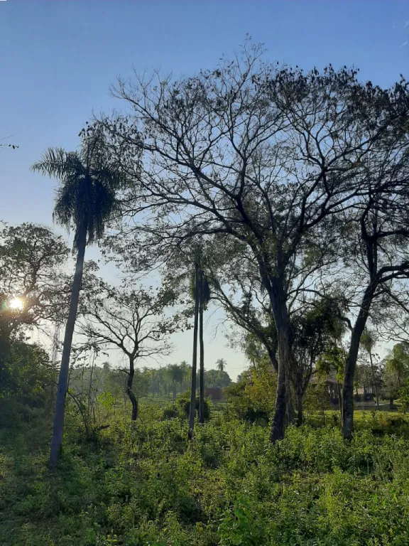 VENDO 5 TERRENOS JUNTOS EN AREGUA, EN OFERTA!!! — foto 2