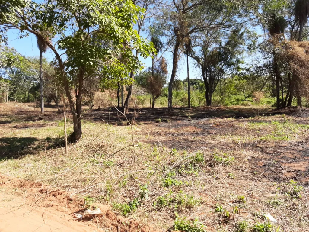 VENDO 5 TERRENOS JUNTOS EN AREGUA, EN OFERTA!!! — foto 3
