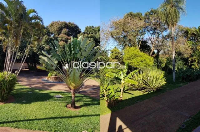HERMOSA RESIDENCIA EN SAN LORENZO 5.000 m2...OPORTUNIDAD!! — foto 2