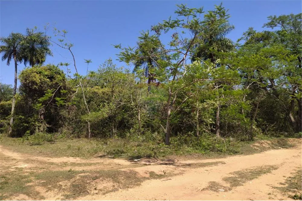 HERMOSO TERRENO EN SAN BERNARDINO - ZONA CIERVO CUA — foto 2