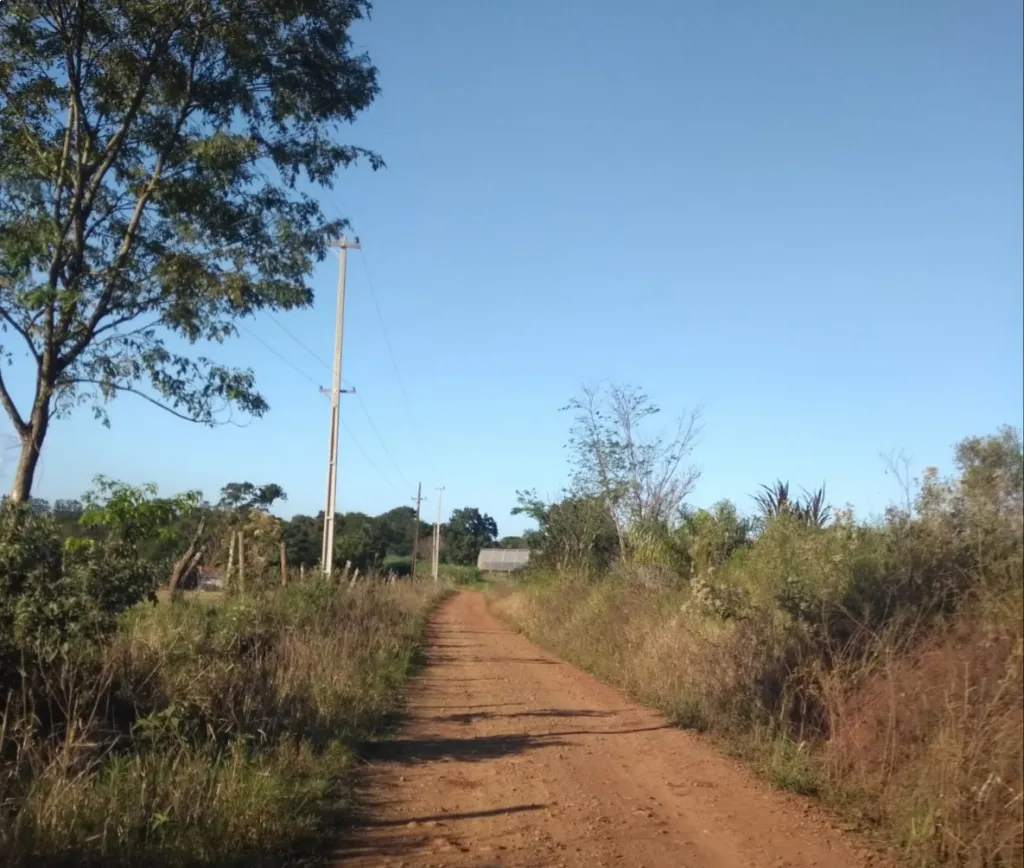 2,5 Hectáreas con Naciente de Agua — foto 3
