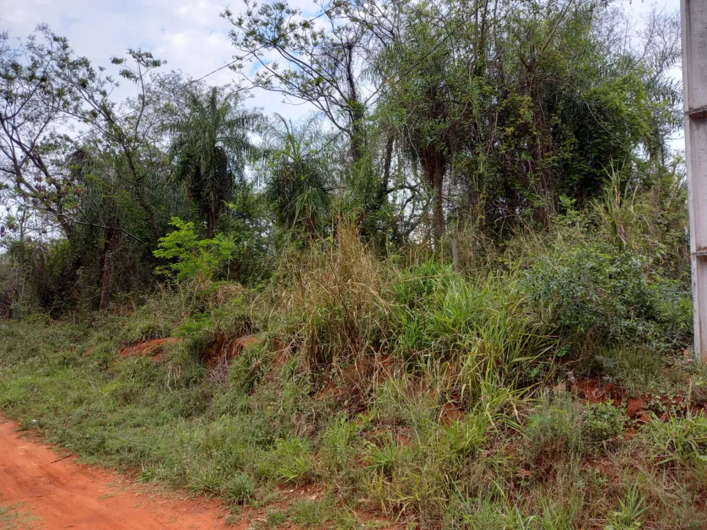 Terreno en Luque zona Marin Kaaguy en esquina a 3 cuadras de la ruta Luque - Sanber — foto 2