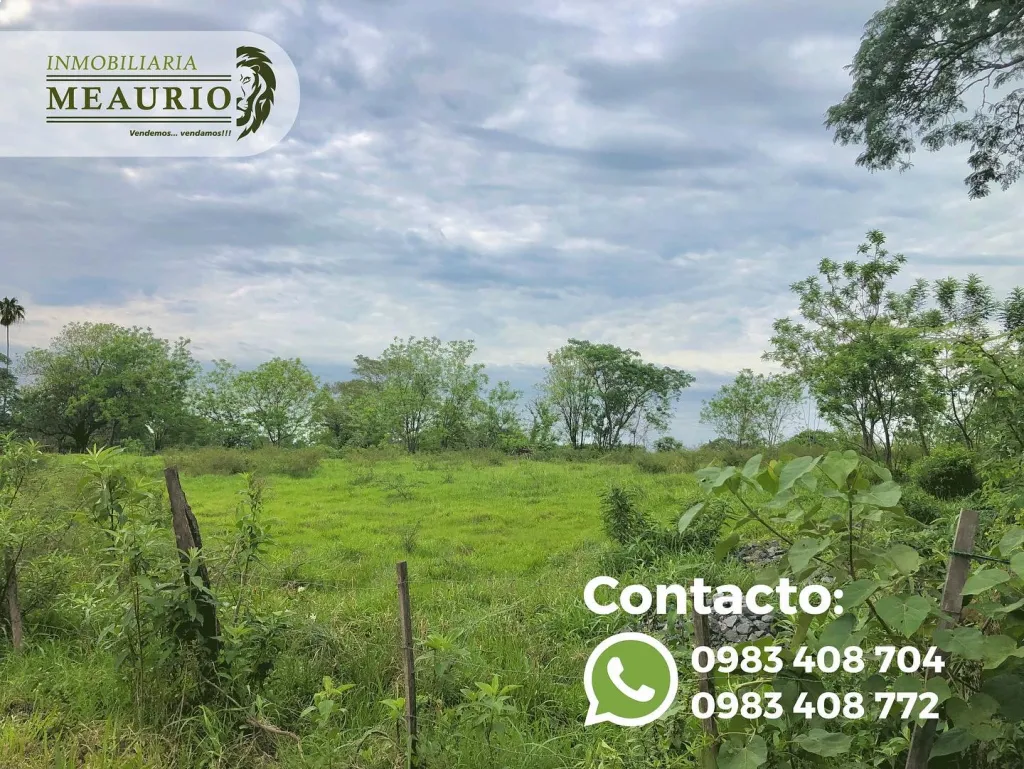 VENDO 1 HECTÁREA 200 mts2 SOBRE RUTA EN PARAGUARI — foto 3
