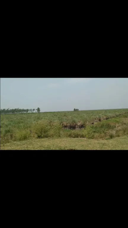 Vendo Estancia totalmente formada en Villa Oliva con costa río Paraguay — foto 2