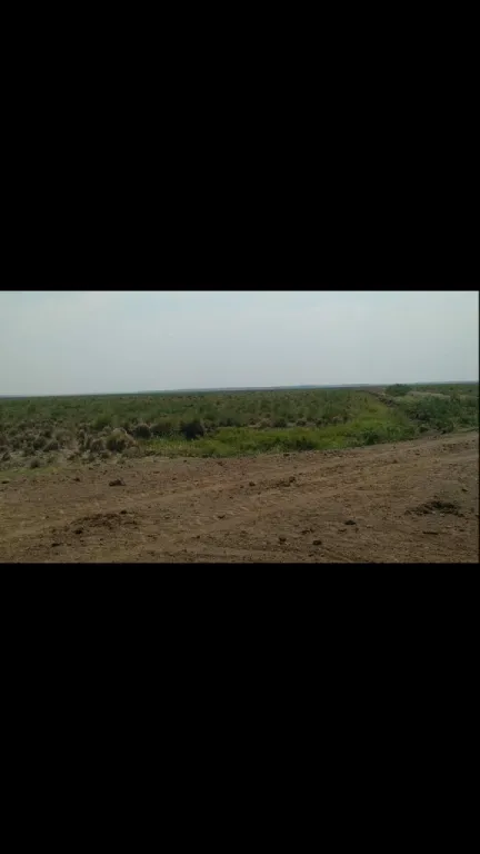 Vendo Estancia totalmente formada en Villa Oliva con costa río Paraguay — foto 3