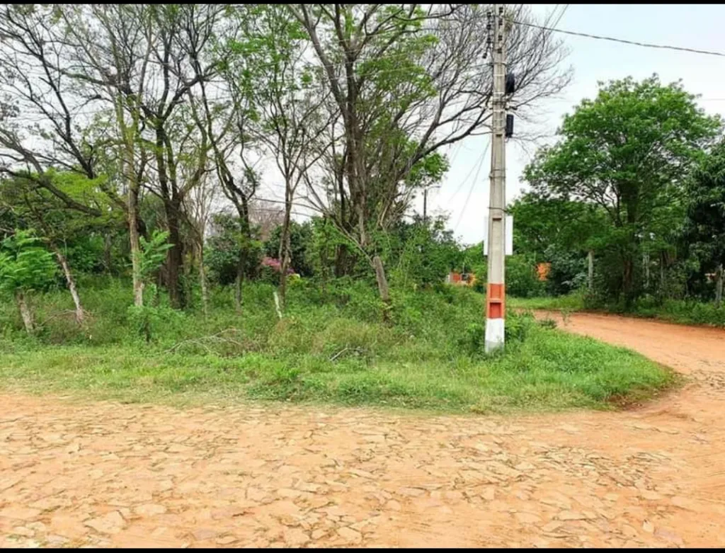Amplio terreno a la venta en Luque — foto 2