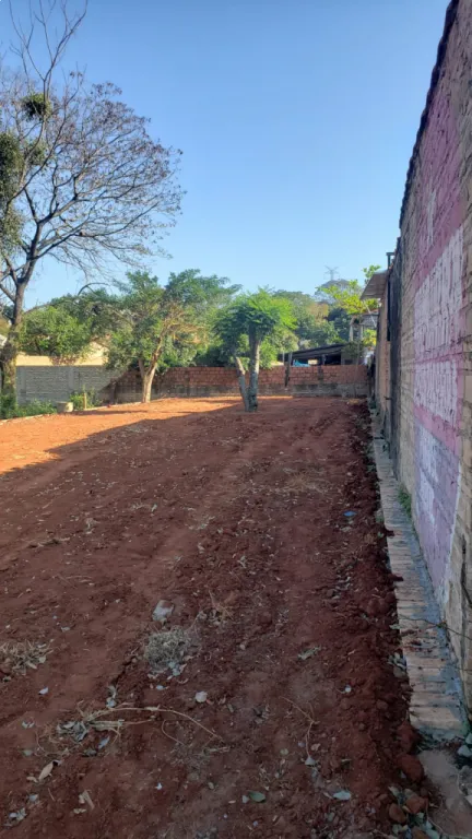 VENDO ESPECTACULAR TERRENO SOBRE AV. AMÉRICO PICCO (VILLA ELISA) — foto 2