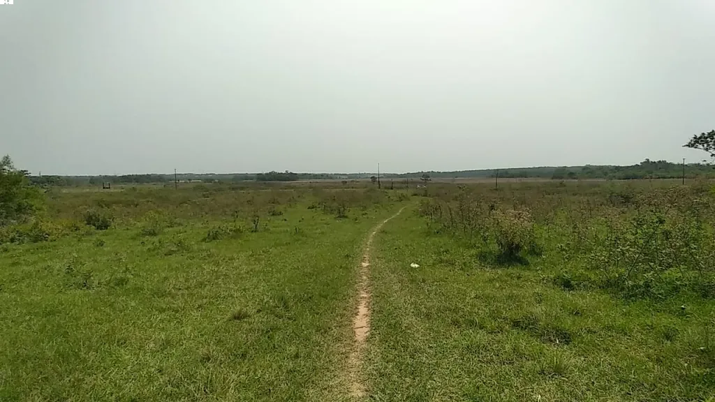 OFERTO 14 HECTAREAS EN 25 DE DICIEMBRE DEPARTAMENTO DE SAN PEDRO — foto 2