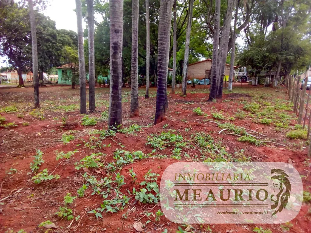 VENDO 3 LOTES 34 EN CAPIATA RUTA 1 — foto 2