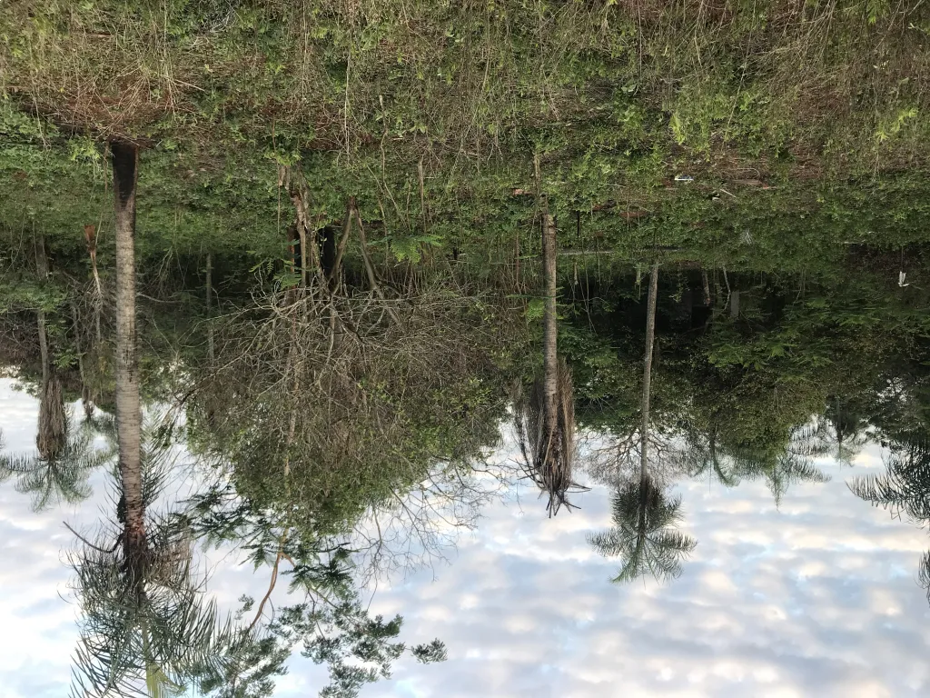 2 TERRENOS JUNTOS EN AREGUA PINDOLO — foto 2