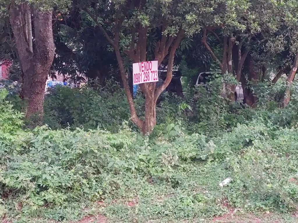 VENDO TERRENO SOBRE ASFALTO EN YPANE — foto 3