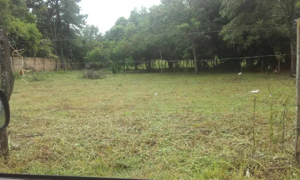 3 Terrenos juntos en Itá - 1.080 m2 de hermosa propiedad a 300 metros de Ruta 1 — foto 3