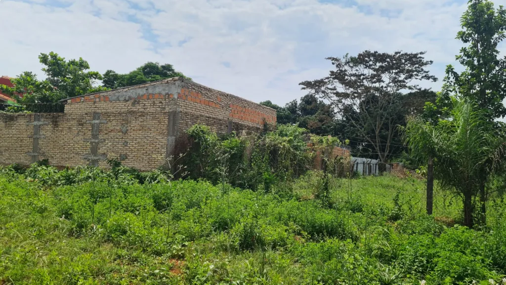 Vendo Hermosos terrenos en Villa Elisa — foto 2