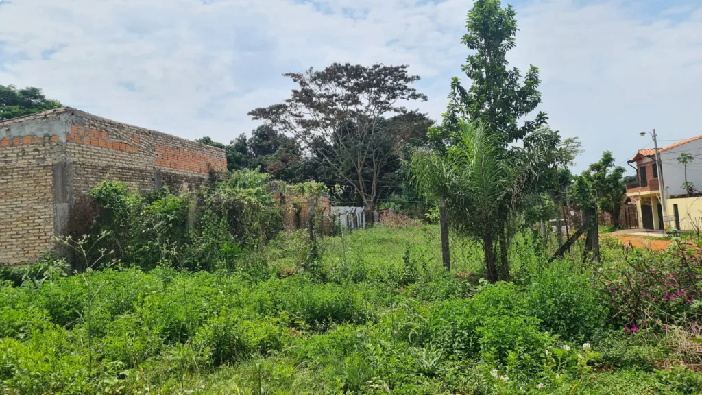 Vendo Hermosos terrenos en Villa Elisa — foto 3