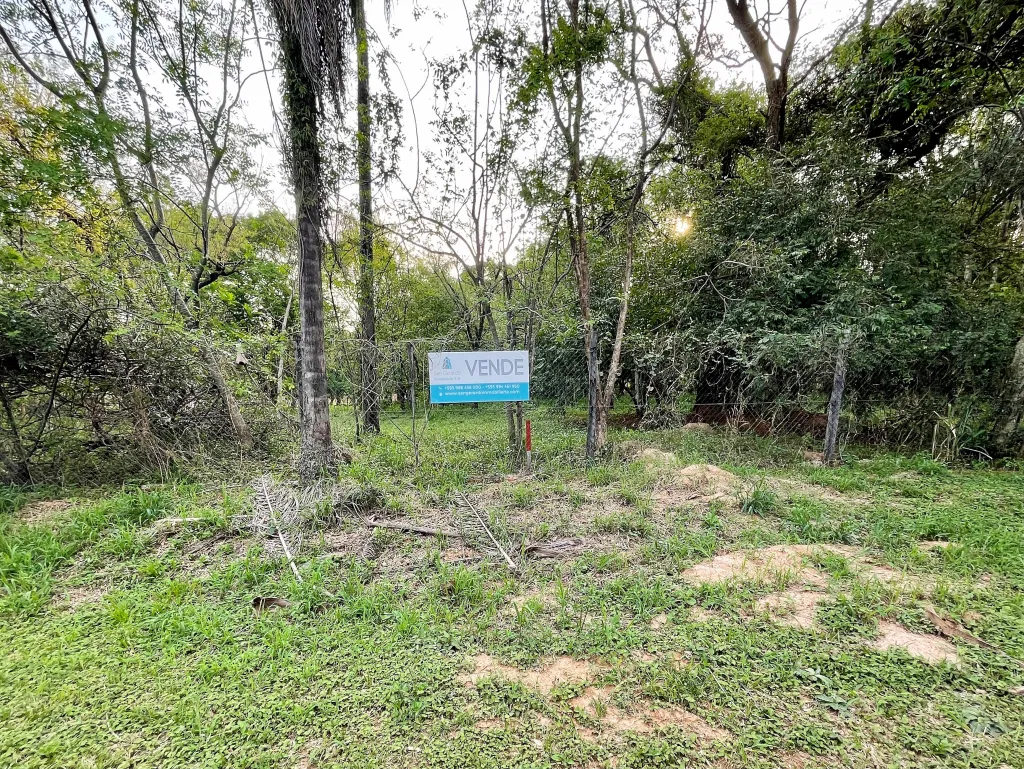 Vendo 3 lotes juntos en esquina en Surubií. — foto 2