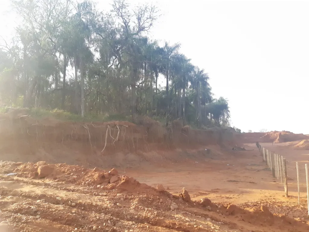 VENDO TERRENO INDUSTRIAL DE 10,4 Ha. — foto 3
