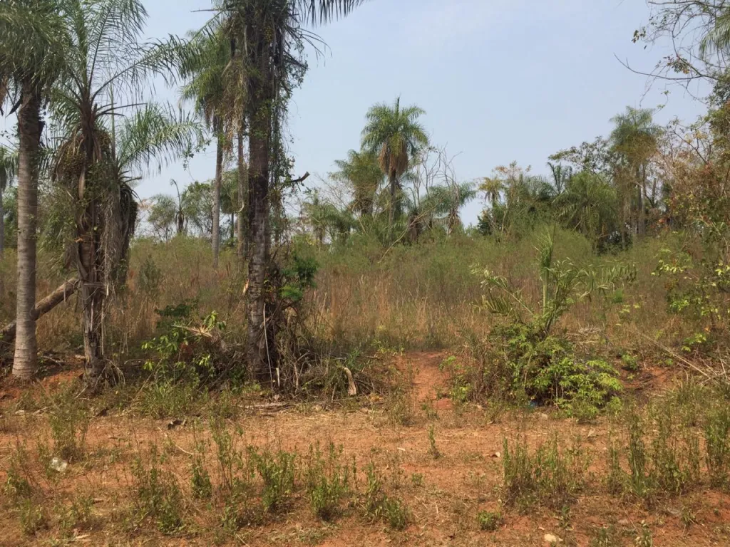 VENDO DOS TERRENOS JUNTOS EN ITAUGUÁ - FRACCIÓN DULCE MARÍA — foto 3