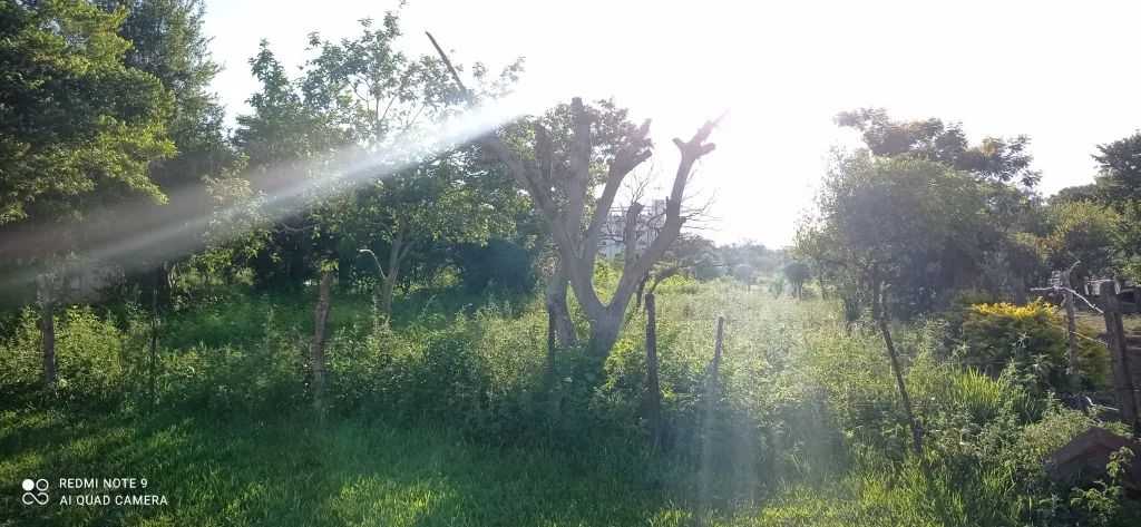 Vendo terreno en San Cosme y Damián — foto 2
