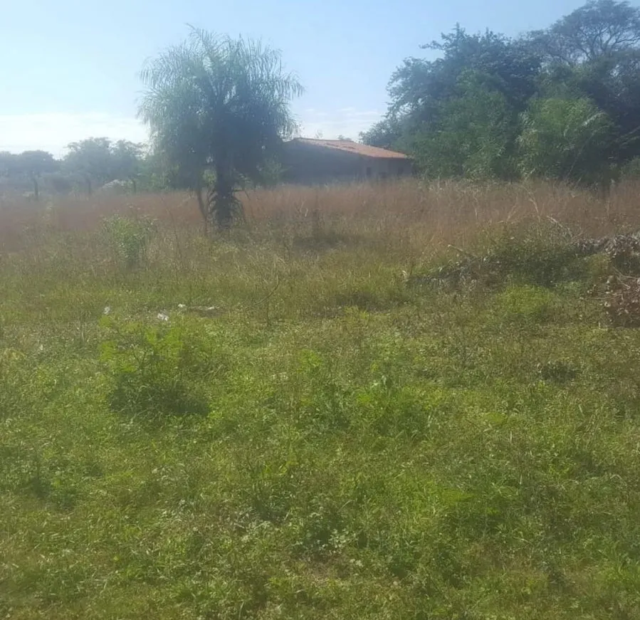 VENDO TERRENO EN YPANE!! — foto 2