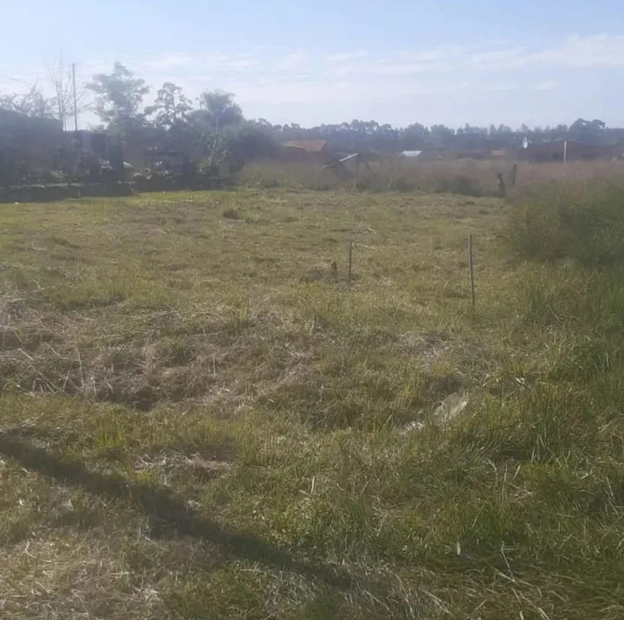 VENDO TERRENO EN YPANE!! — foto 3