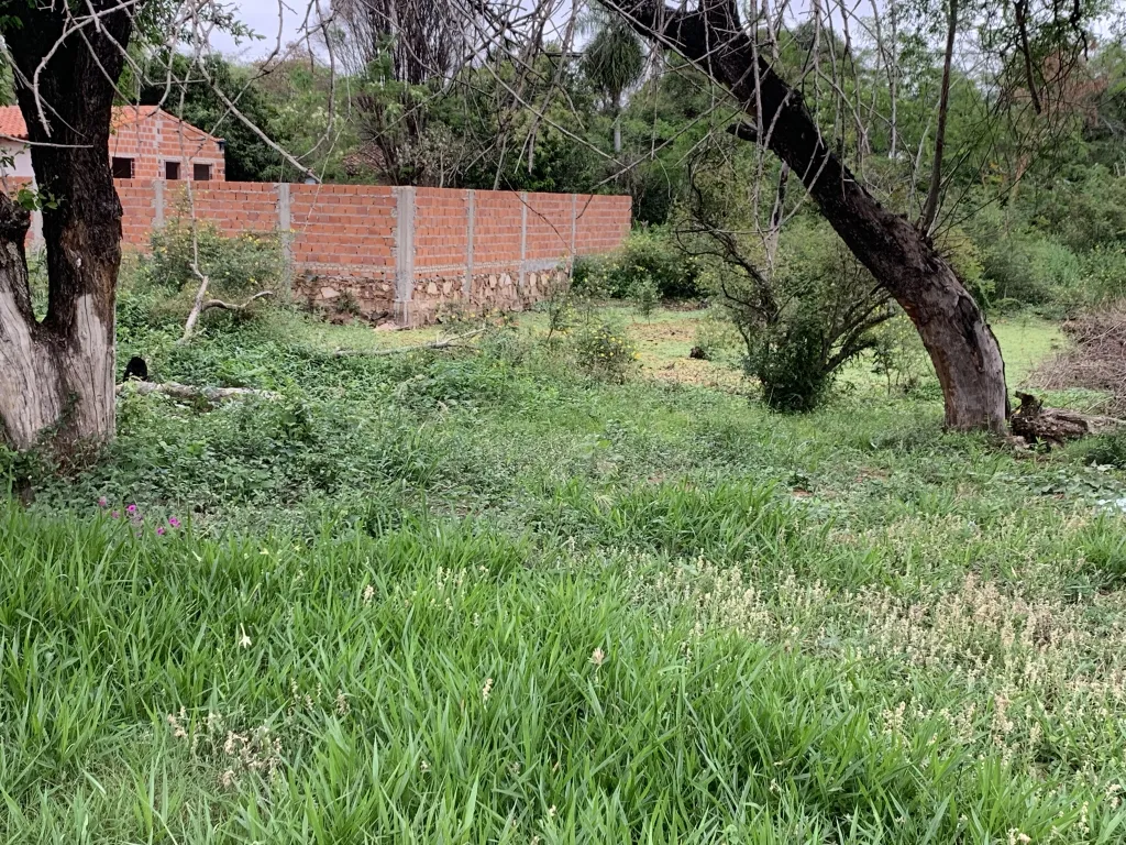 VENDO TERRENO EN LUQUE MORA KUE.. — foto 3