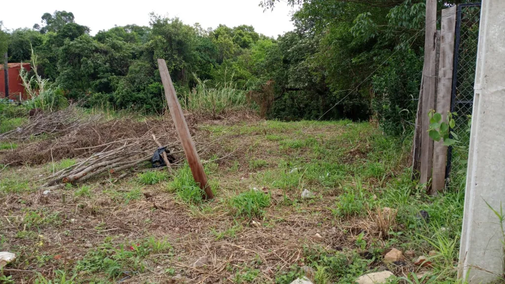 Vendo Terreno en Luque — foto 2
