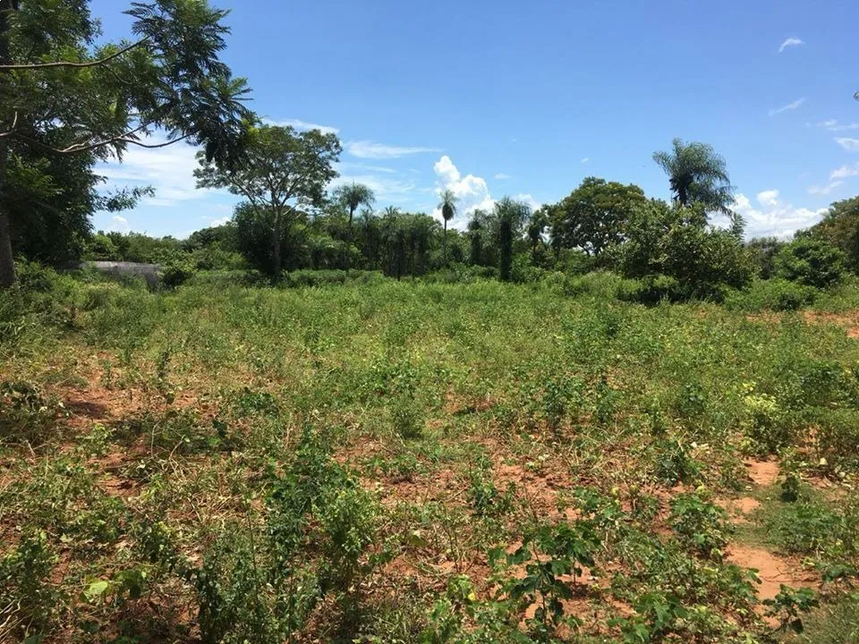 VENDO PROPIEDAD DE 2 HECTAREAS EN ITAUGUA COD 2698 — foto 3