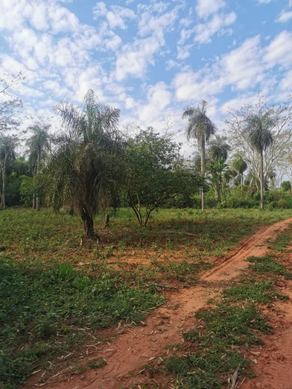 TERRENO DE 1680 M2 YPANE — foto 2