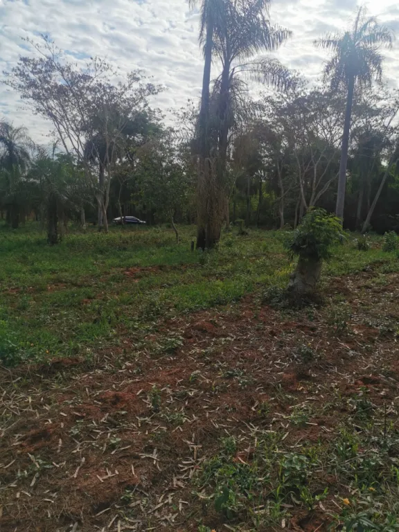 TERRENO DE 1680 M2 YPANE — foto 3