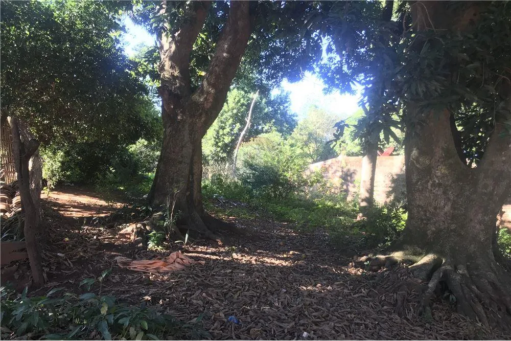 TERRENO EN SAN LORENZO - ZONA DE LA VICTORIA - EXCELENTE UBICACION!!! — foto 3