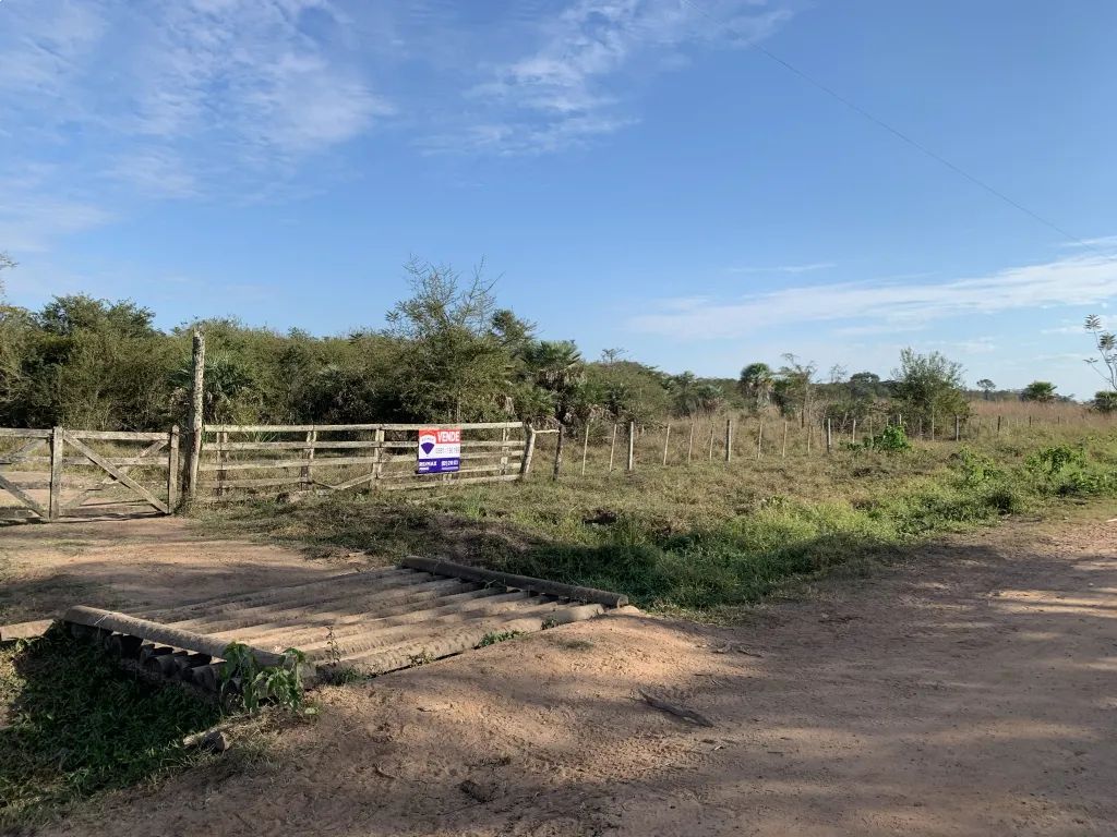 70 Hectareas sobre el Río Paraguay con financiacion — foto 2