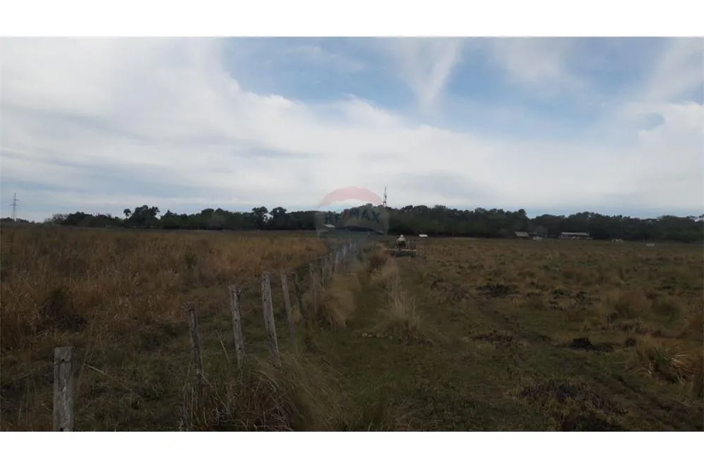 VENDO ESTANCIA GANADERA DE 1817 HECTÁREAS EN AYOLAS — foto 2