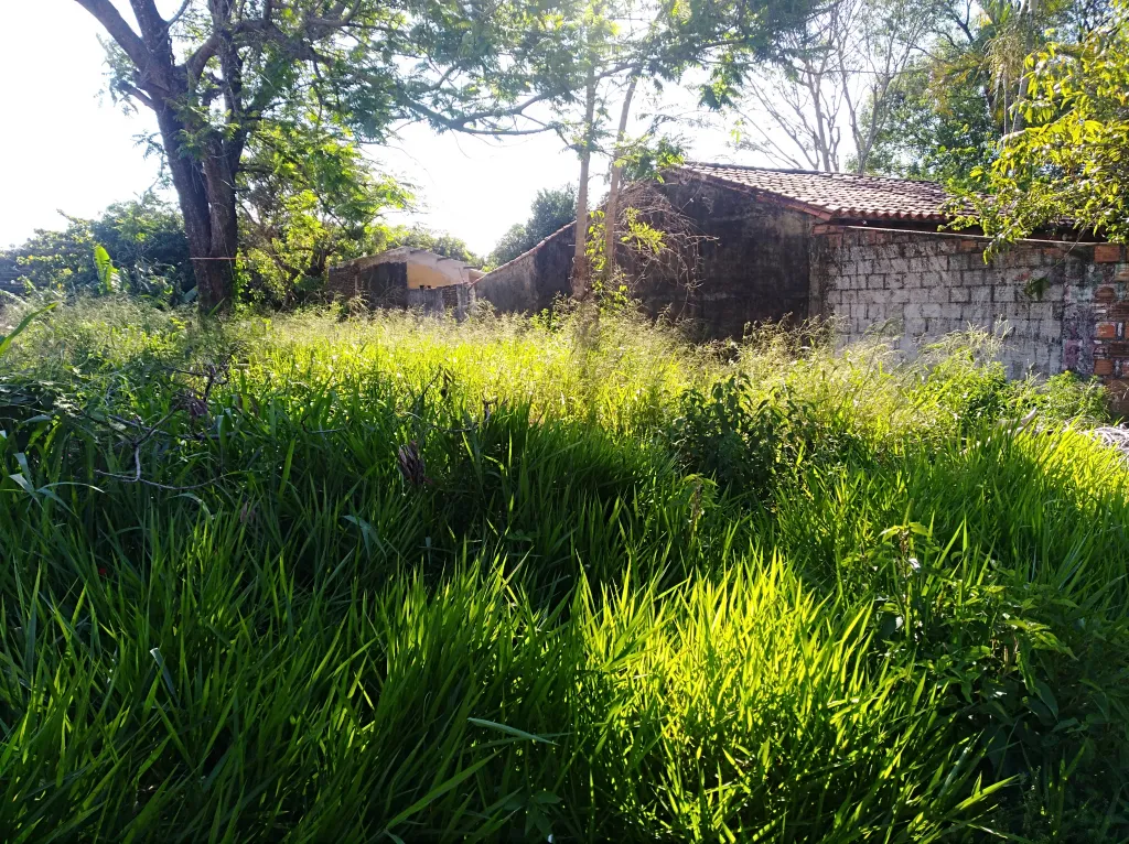 Vendo Amplio terreno en la Ciudad de Ñemby — foto 2