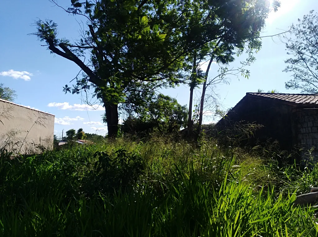 Vendo Amplio terreno en la Ciudad de Ñemby — foto 3