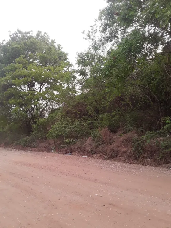 EN VENTA‼️ 📍Amplio terreno en la ciudad de Concepción, barrio Porvenir — foto 3
