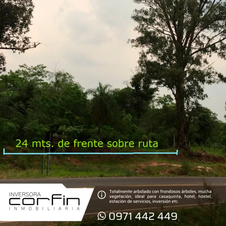ATYRA 1.795 M2., 24 mts., Sobre RUTA ASFALTADA,TERRRENO ARBOLADO ¡VERLO ES COMPRARLO!, — foto 2