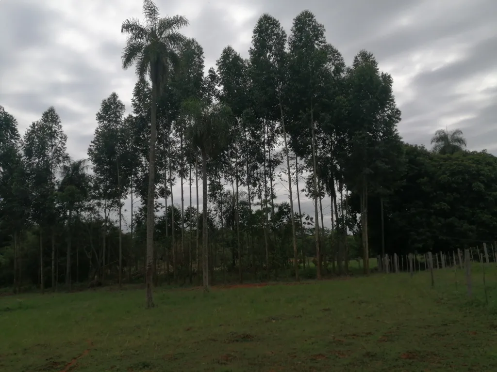PROPIEDAD DE 1,5 HAS EN YAGUARON, CON ARROYO (VENDO) — foto 3