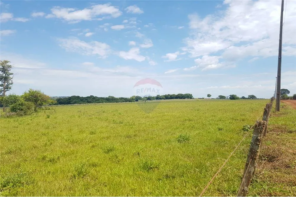 EstanciaCampo - Venta - Paraguay Itapúa Fram Vendo 204 hectáreas en Fram! — foto 3