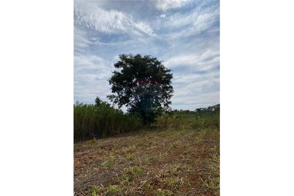 Terreno - Venta - Paraguay Caaguazú Coronel Oviedo — foto 3