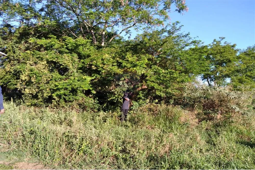 Terreno - Venta - Paraguay Central Ypané — foto 2