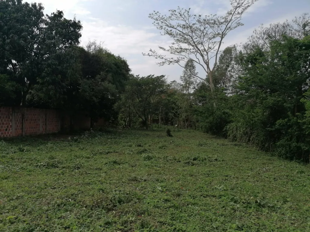 Vendo Terreno en la ciudad de San Antonio — foto 3