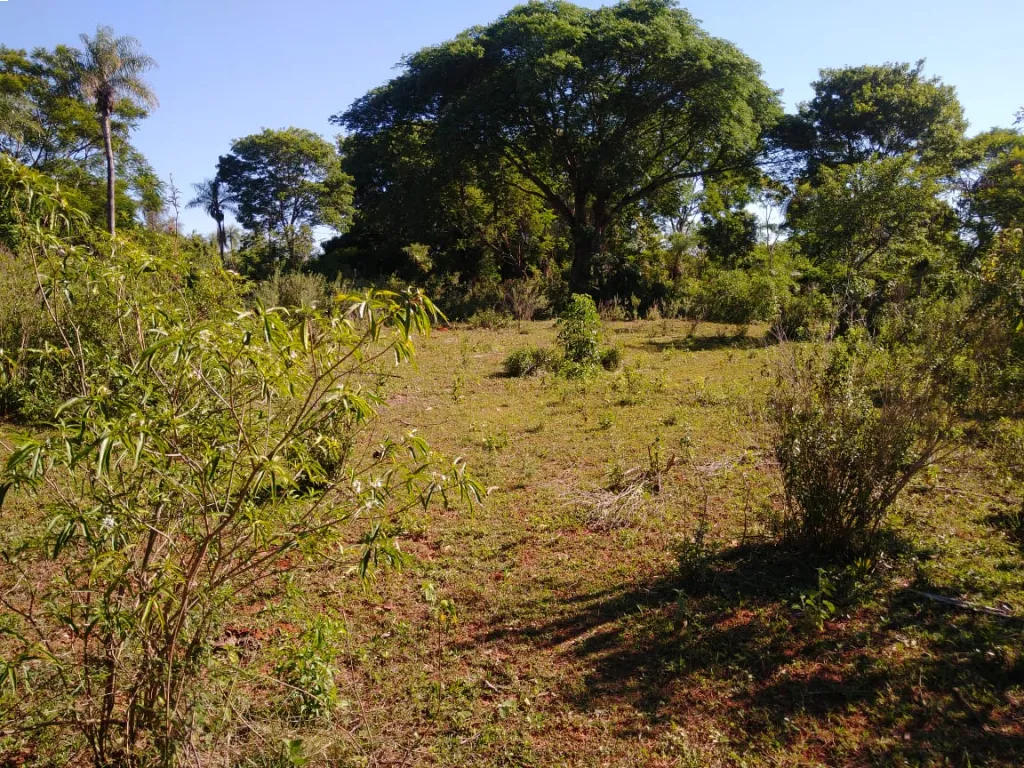 VENDO DOS TERRENOS JUNTOS EN AREGUA — foto 3