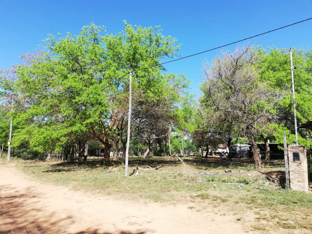 ¡POR TIEMPO LIMITADO! TERRENO AL COSTADO DE FUTURA CALLE ASFALTADA YTORORO, EN YPANÉ — foto 2