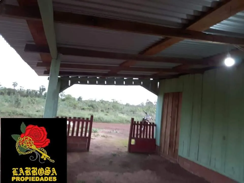 Vendo 2 hectáreas en San Rafael del Paraná — foto 2