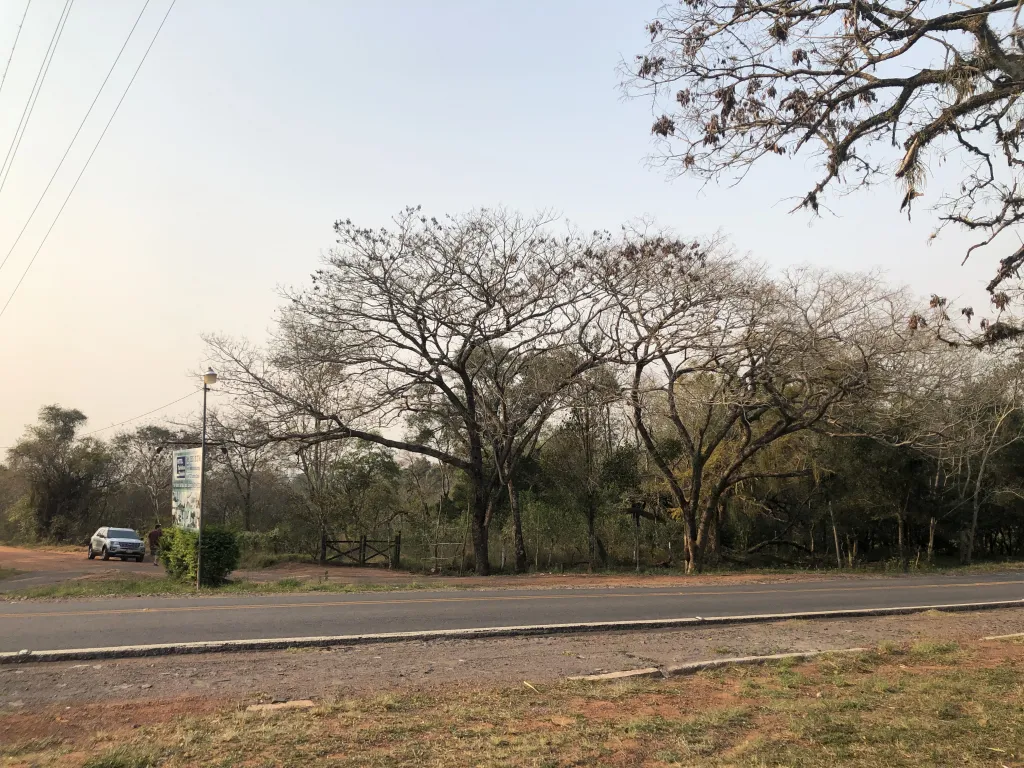 1.1 HECTÁREAS TERRENO EN PIRIBEBUY — foto 2