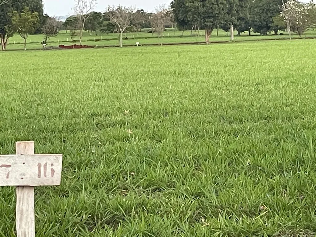 VENDO TERRENO DE 1500 METROS CUADRADOS EN SANTA ELENA COUNTRY CLUB — foto 3